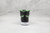Nike Air Jordan 1 High Zoom 'Zen Green' - DUKE SPORT