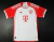 bayern munich 23/24