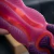 Nike Air Max Scorpion - tienda online