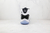 Air Jordan 11 Retro "Concord (2018)" - DUKE SPORT
