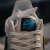 Nike Air Force 1 Low "Strive for Greatness" - DUKE SPORT