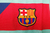 Barcelona FC Alternativa 2010/2011 - DUKE SPORT