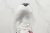 Nike Air Zoom Alphafly Next% 2 en internet