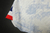 Francia Alternativa 22/23