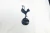 Tottenham Hotspur 24/25 - DUKE SPORT
