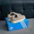 Adidas Campus 00s en internet