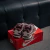 Nike P-6000 en internet