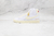 Nike Blazer Mid 'PopCorn'