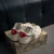 Nike Air Force 1 Low X LV - comprar online