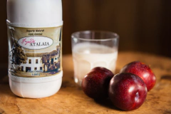 Iogurte Natural c/Açúcar 1L - comprar online