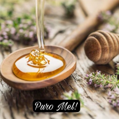 Mel Puro Canastra Sache 300g - buy online