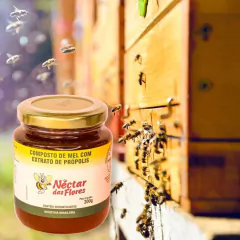 Mel composto com Própolis 300G