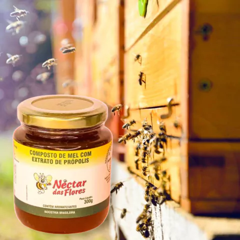 Mel composto com Própolis 300G