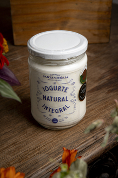 Iogurte Natura Integral Santa Vitoria 200g na internet