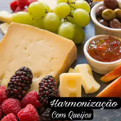 Queijo Raclette 360g - comprar online