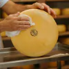Queijo Roça da Cidade 500g