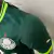 camisa-do-palmeiras-i-23-24-jogador-puma-masculina-verde-2023-temporada-nova-lançamento-versão-de-jogador-player-igual-comprar-onde-barata-oficial-original-centauro-shoope