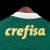 lancamento-camisa-camiseta-nova-2025-e-do-da-gola-branco-verdão-titualar-home-onde-comprar-palmeiras-i-2024-25-torcedor-puma-masculina-verde