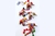 Pack 6 Tiras Decorativas #76226 (Precio $ 5500 c/u) - Con Dto Pagas $ 4.400 c/u - comprar online