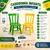 KIT MESA DALAS + CADERINHAS DISA INFANTIL COM BRINDE - World Cadeiras 