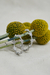 Argollas Sutton Plata - comprar online