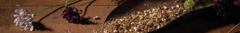 Banner de la categoría Semillas