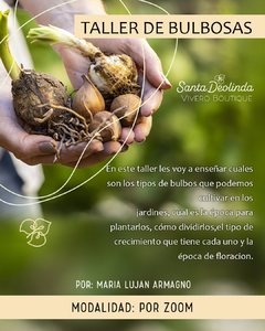 TALLER DE BULBOSAS - comprar online