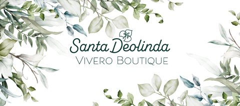 Carrusel Santa Deolinda