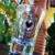 Copinho Shot Personalizado 60ml (arte cor preta 1 face) na internet