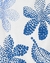 Kit NOVO | 5 peças Body Carter’s Regata Azul (Nova Coleção Carter’s) - comprar online