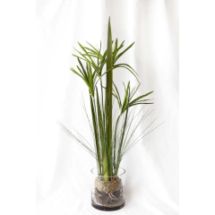 Planta Papiro artificial en florero transparente 78cm
