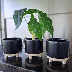 Maceta Neo Cerámica Negra 12cm - tienda online