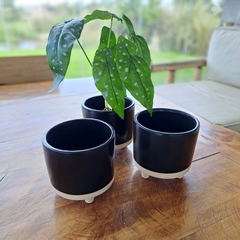 Maceta Neo Cerámica Negra 12cm - kazaru