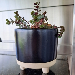 Maceta Neo Cerámica Negra 12cm