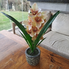 Cher orquidea grande 54cm