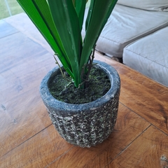 Cher orquidea grande 54cm - tienda online