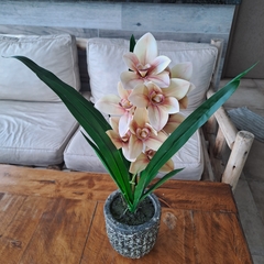 Cher orquidea grande 54cm - kazaru