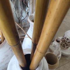 Cañas varas de Bambú de 200cm x 4cm de diámetro - tienda online