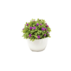 Mini bonsai flores 7x10cm