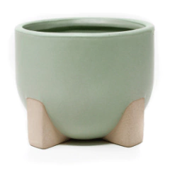 Maceta Neo Cerámica Verde 12cm