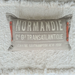 Almohadon Tusor Stamp 50x30cm - comprar online