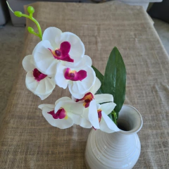 Vara de orquidea chica eco - comprar online