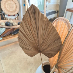 Hoja abanico deco 120cm - comprar online