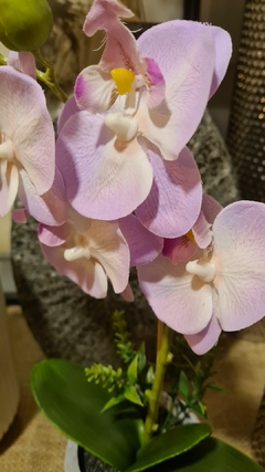 Orquidea con maceta gris 1 vara 35cm - tienda online