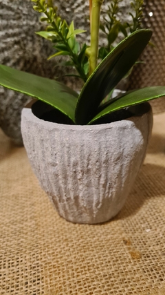 Imagen de Orquidea con maceta gris 1 vara 35cm