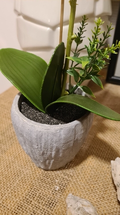 Orquidea con maceta gris 1 vara 35cm en internet