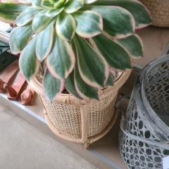 Portamacetas con patas chico - kazaru