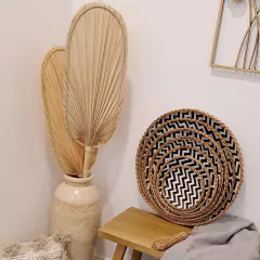 Hoja Palma remo corta en internet