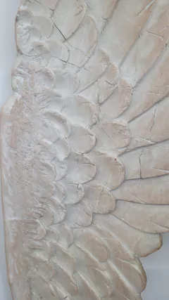 Set x2 Alas gigantes de pared Timothy