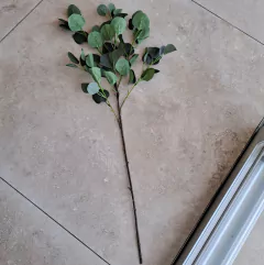 Vara Eucalipto Verde 85cm